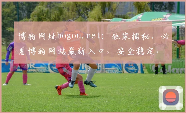 博狗网址bogou.net：独家揭秘，必看博狗网站最新入口，安全稳定，不容错过